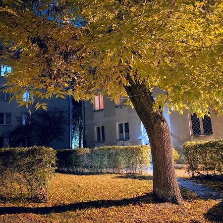 Bielany Lejlighed