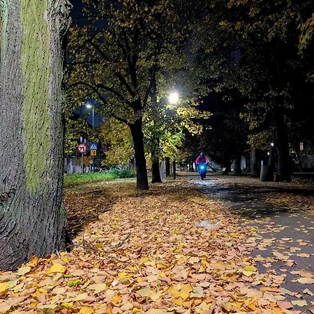 Bielany Warszawa